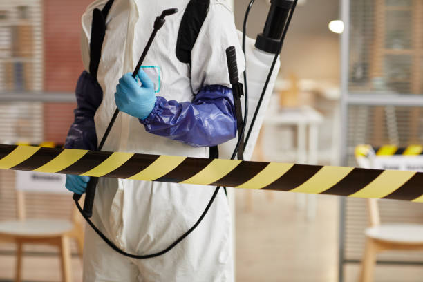 Professional Sewage Cleanup technician working in Franklin, VA